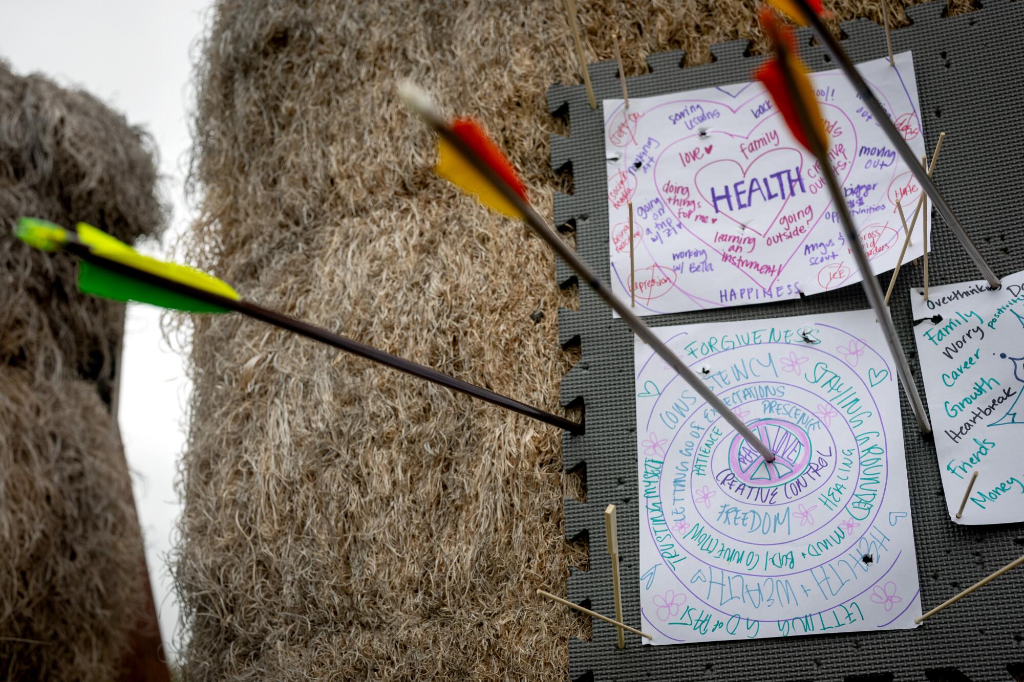 One participant hit the bull's-eye, which calls for "peace" and "love," dead center.