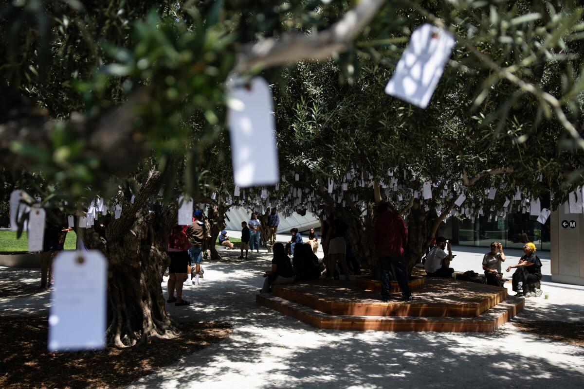 Visitors tie paper tags bearing wishes onto trees.