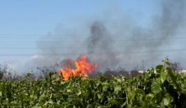 Small grass fire contained near Highway 99 in Fresno County