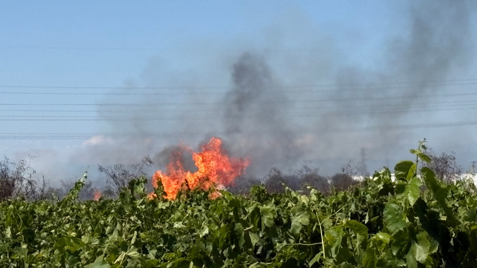 Small grass fire contained near Highway 99 in Fresno County