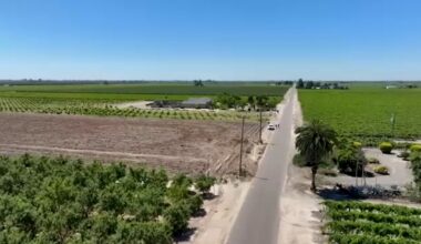 Ag Watch: Valley peach farmers impacted by Del Monte closure