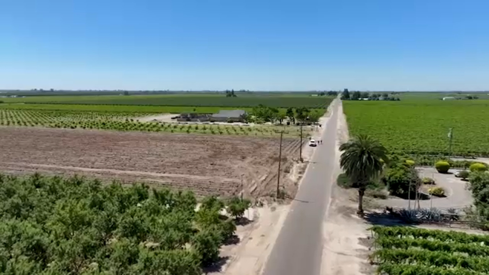 Ag Watch: Valley peach farmers impacted by Del Monte closure