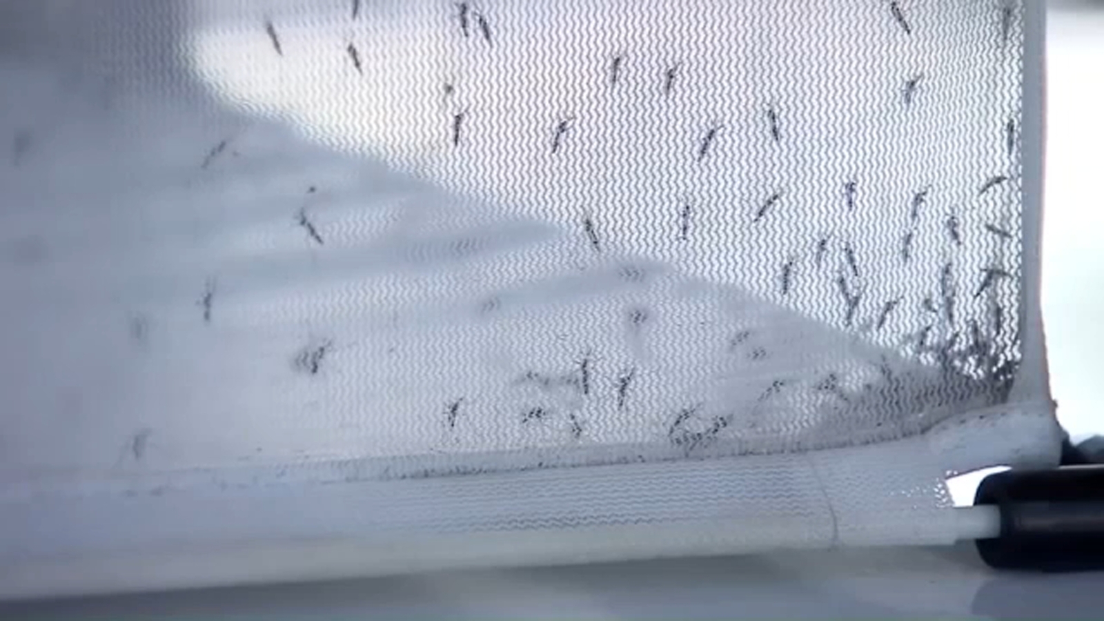 Fresno County reports early West Nile Virus activity as officials urge precautions