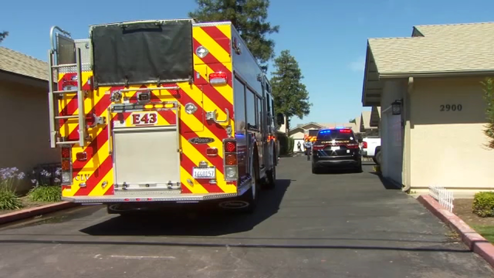 2 dogs rescued from Clovis apartment fire