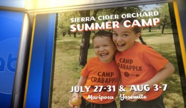Sierra Cider unveils new kids' camp experience for summer
