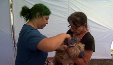 Central California SPCA offering $10 micro-chippings