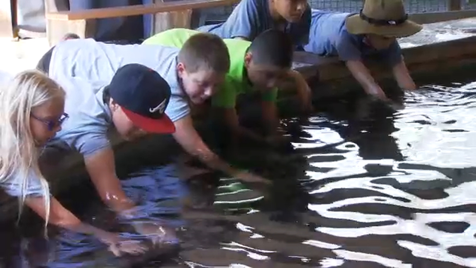 Fresno Chaffee Zoo hosts summer camp focused on wildlife exploration