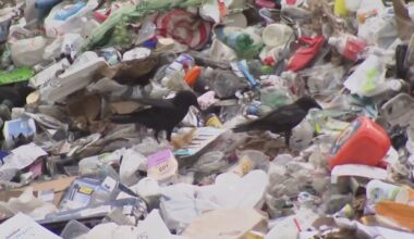 Illegal dumping in Berkeley spikes when students graduate and move out: Here's how Cal program aims to curb it