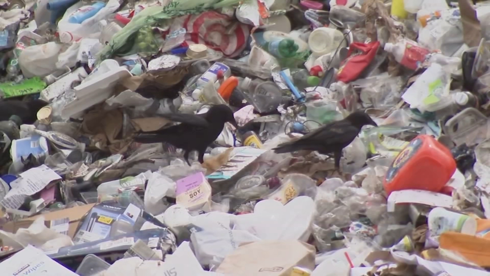 Illegal dumping in Berkeley spikes when students graduate and move out: Here's how Cal program aims to curb it