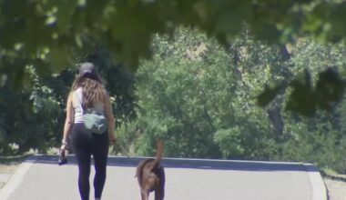 Keep yourself and pets safe as Valley temperatures continue to rise