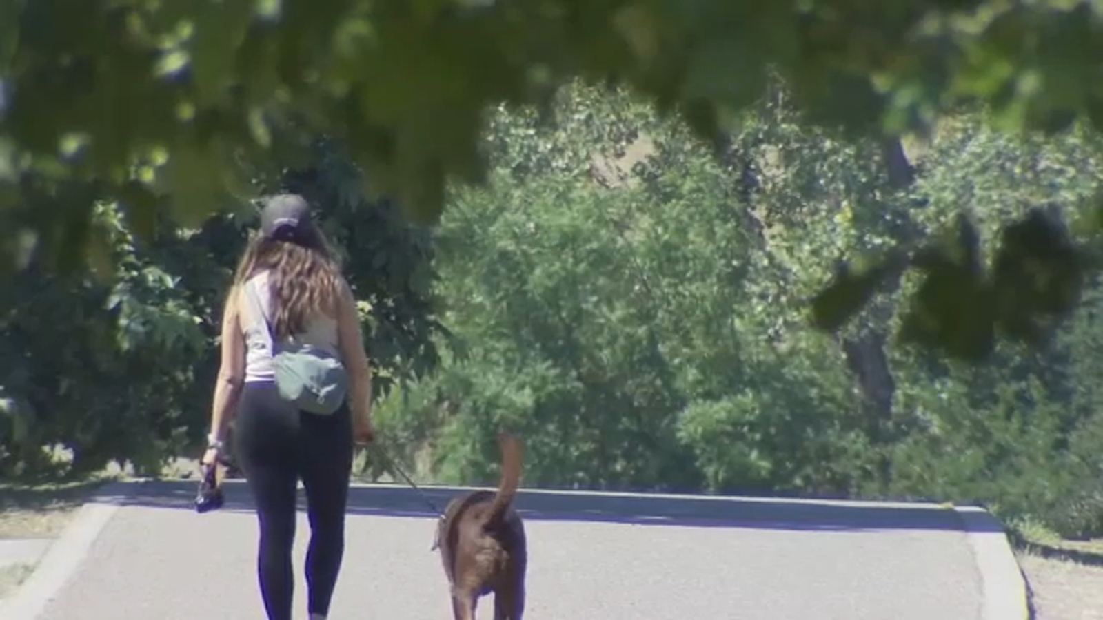 Keep yourself and pets safe as Valley temperatures continue to rise