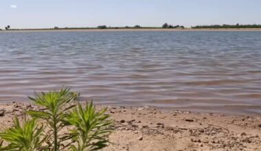 Fresno Irrigation District completes new groundwater recharge basin