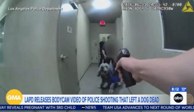 Los Angeles Police Department releases body camera footage showing officer, killing dog during Knicks celebration