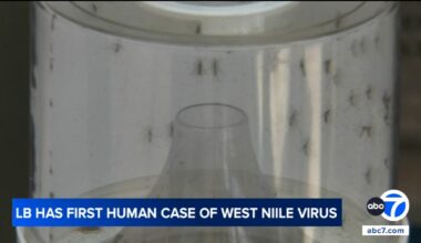 Long Beach reports first West Nile case