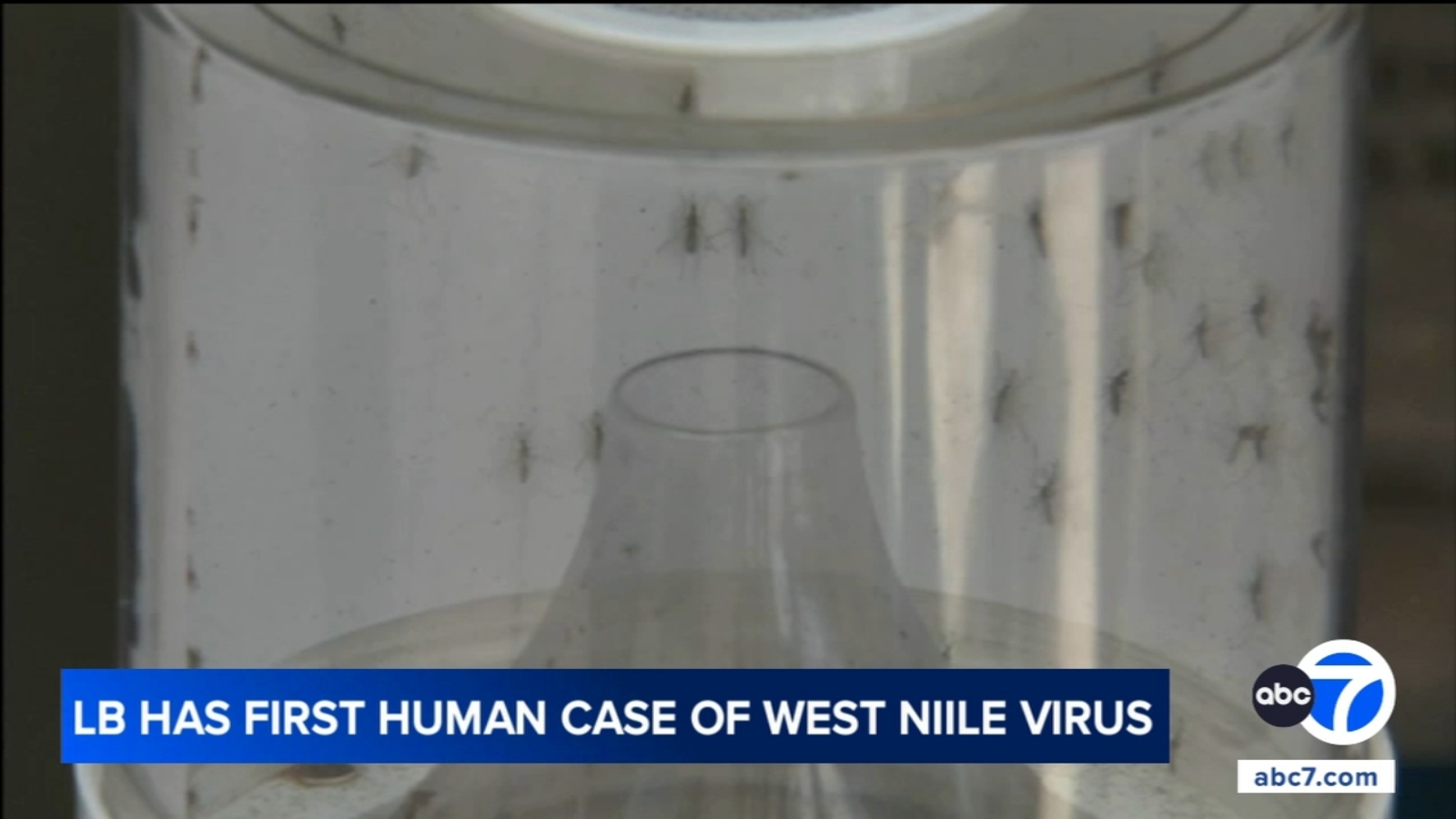 Long Beach reports first West Nile case