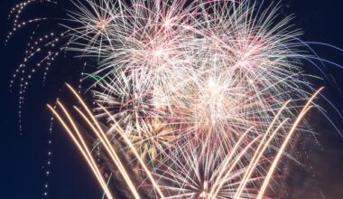Milpitas to host Red, White and Boom fireworks show – East Bay Times