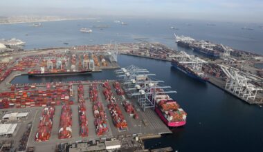 Shipping containers are unloaded from ships at a container terminal at the Port of Long Beach-Port of Los Angeles complex, amid the coronavirus disease