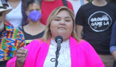 Eunisses Hernandez declares victory in primary race for LA Council District 1 – NBC Los Angeles
