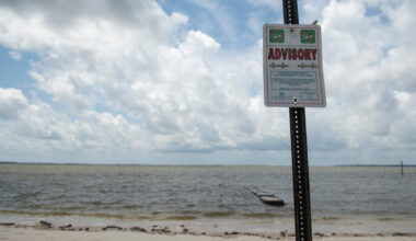Water contact advisories for 3 South Mississippi beaches