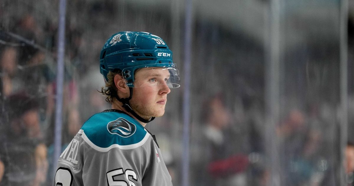 San Jose Barracuda | SAN JOSE SHARKS RE-SIGN FORWARD ETHAN CARDWELL
