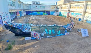 At roughly 20 feet long, the eye-catching sculpture is the size of a newborn whale calf.