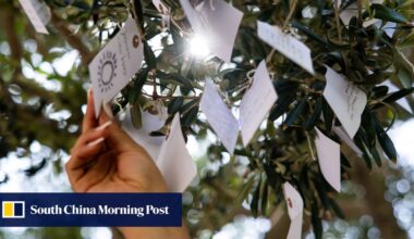 How Yoko Ono’s Wish Tree installation in Los Angeles is helping people voice their hopes
