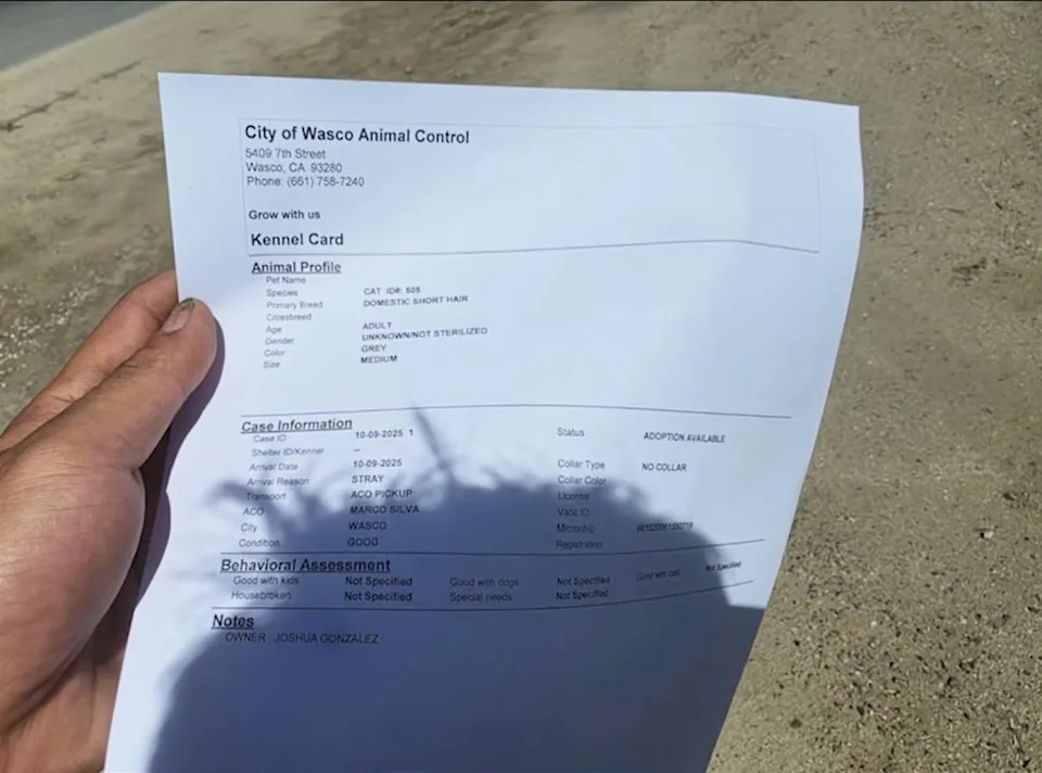 Gonzalez has since produced documentation he says proves the cat belongs to him. Brenda Wilson