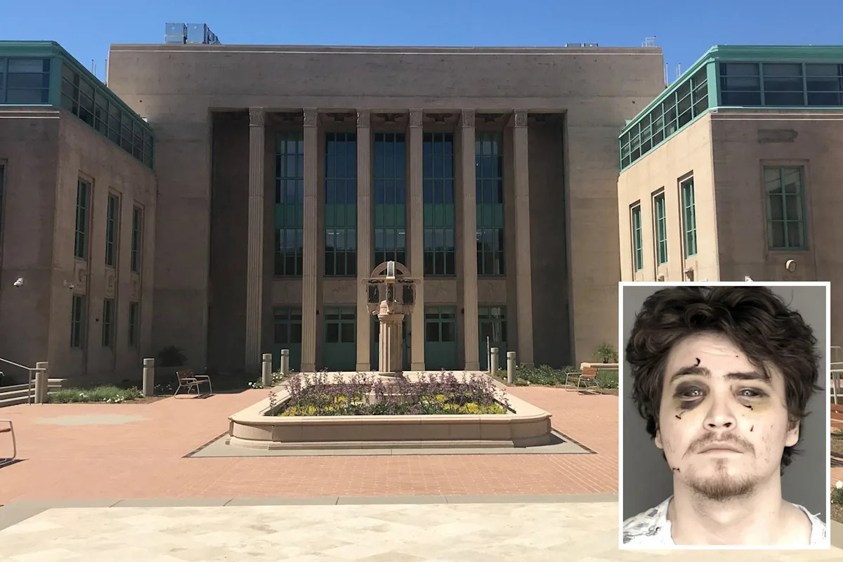 ‘Obsessed’ gamer posing as Amazon driver learns fate for attempted murder of California couple