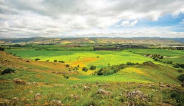 Open space supporters celebrate Measure D election victory in Santa Clara County | Gilroy Dispatch