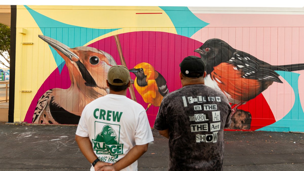 Observe marvelous murals as they rise and rise during Long Beach Walls – NBC Los Angeles