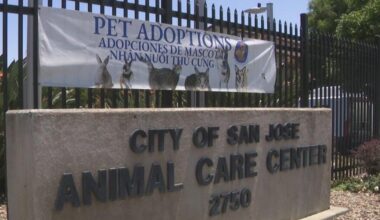 Animal rescue founder sues San Jose over conditions at city's shelter