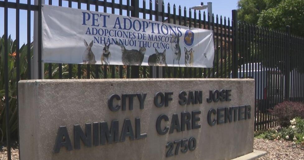 Animal rescue founder sues San Jose over conditions at city's shelter