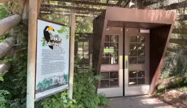 Fresno Chaffee Zoo gets pushback on closing Tropical Rainforest Aviary