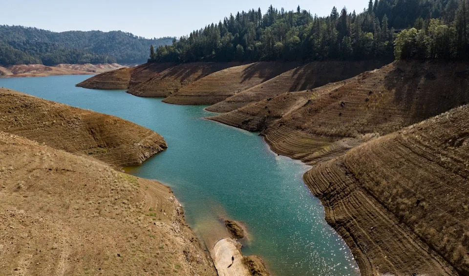 A pair of prominent San Francisco socialites was found dead inside their car not far from Lake Shasta along Interstate 5, authorities said (AFP/Getty)