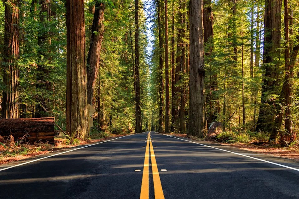 The scientists are digging up the Humboldt County fault to investigate. James Eddy – stock.adobe.com