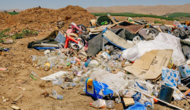 California dump expansion could doom Orange County mountain lions, conservationists warn