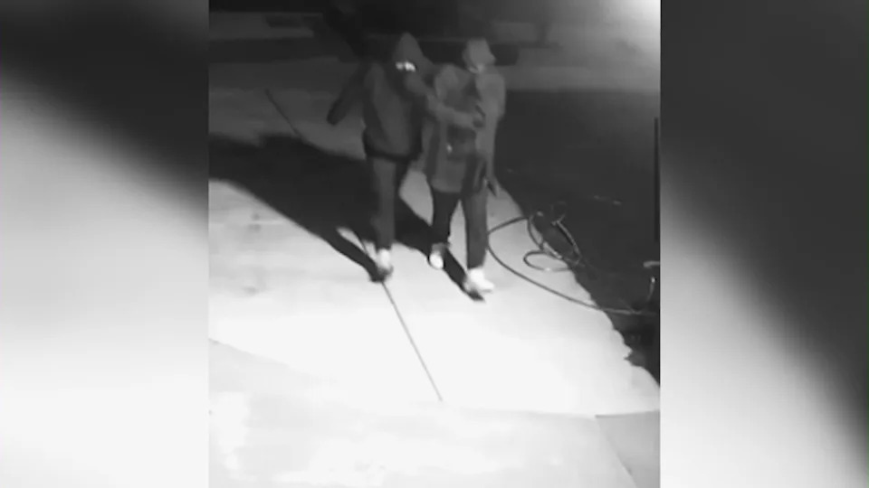 Surveillance cameras captured two hooded and masked suspects breaking into Harley's cage and stealing the parrot from a Long Beach home on June 5, 2026. (Winter Family)