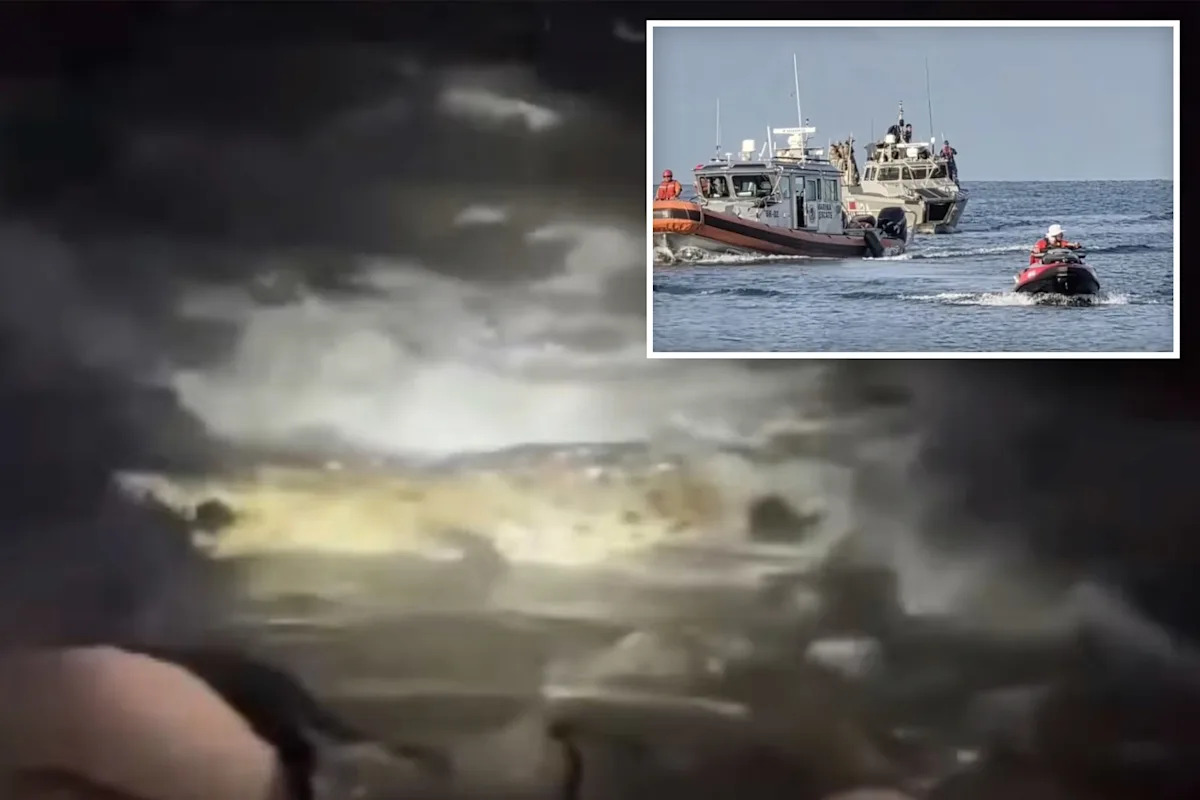 Video shows crocodile that killed Puerto Vallarta man in front of California couple — as new details emerge