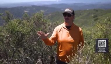 Wildfire Ready: NorCal scientists track wildfire risk by measuring fuel moisture