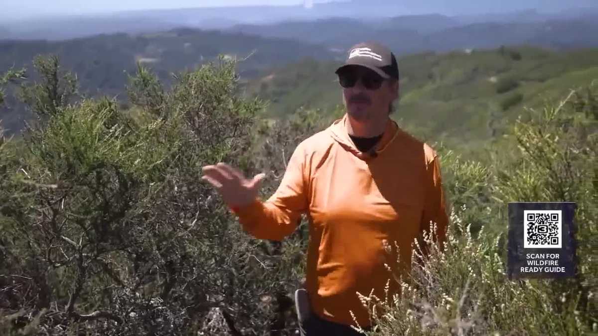 Wildfire Ready: NorCal scientists track wildfire risk by measuring fuel moisture