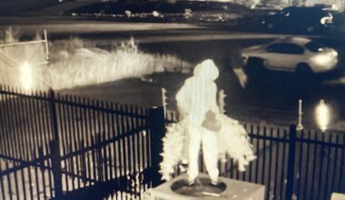 When cannabis burglaries go wrong • Sacramento News & Review