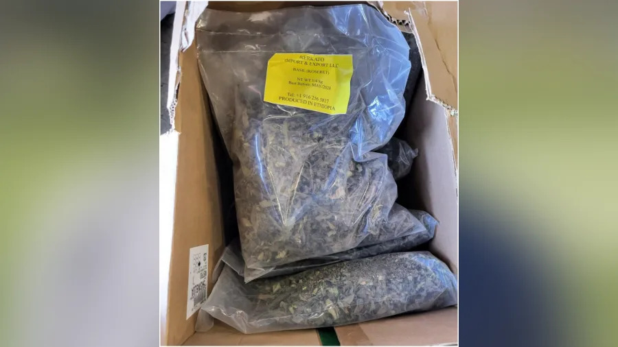 Also known as Abyssinian tea and African salad, khat is typically grown in East Africa and the Arabian Peninsula. The drug can also be boiled to create a stimulant tea.