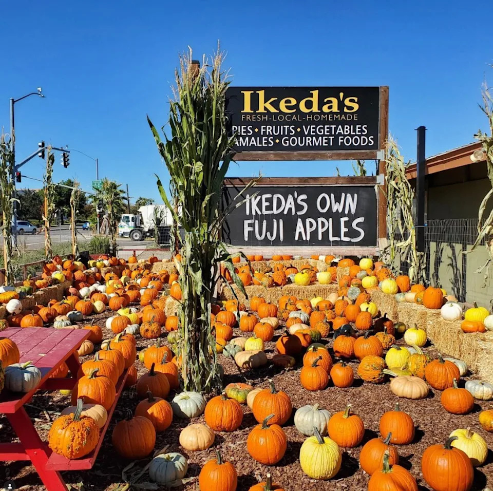 Ikeda’s California Country Market-with locations in Auburn and Davis-landed the top prize in USA Today’s 10 Best Readers’ Choice Awards for pie shops. Instagram/@ikedasbakery