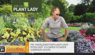 Plant Lady (part 1) 8am