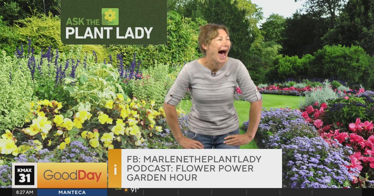 Plant Lady (part 1) 8am
