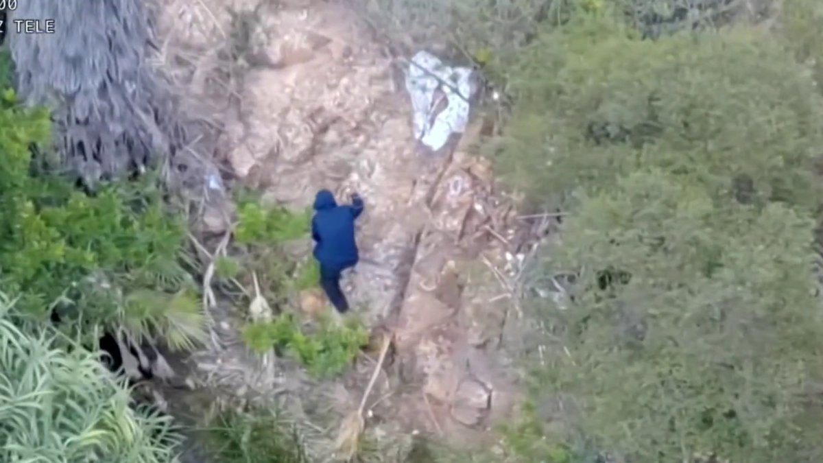 Deputies arrest Spring Valley palm tree arson suspect with help from drones – NBC 7 San Diego