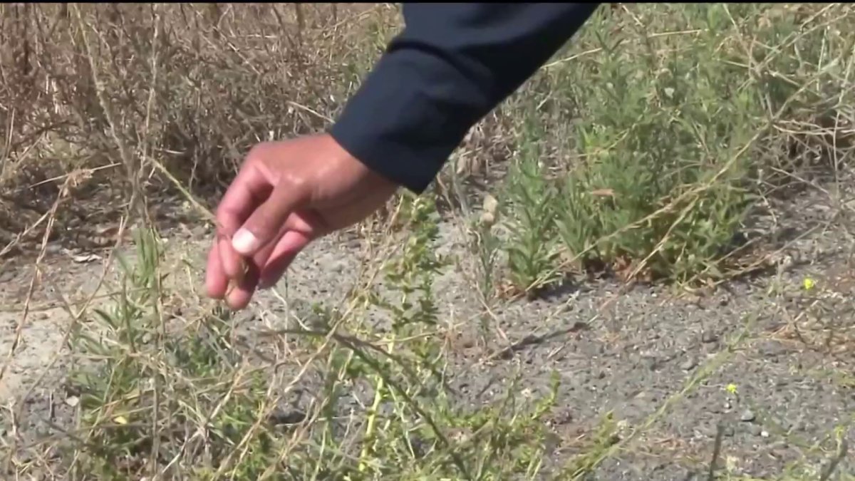 Warning about wildfire risk across San Diego County ahead of July fireworks – NBC 7 San Diego