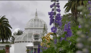 Step inside San Francisco’s beautiful and historic Conservatory of Flowers – NBC Los Angeles