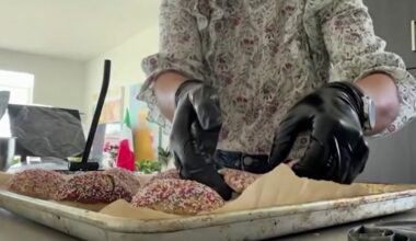 California coalition highlights San Diego immigrant-owned small businesses – NBC 7 San Diego
