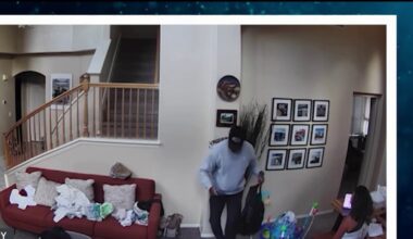 San Diego woman pleads guilty to spying on ex-husband inside his home through Ring cameras – NBC 7 San Diego